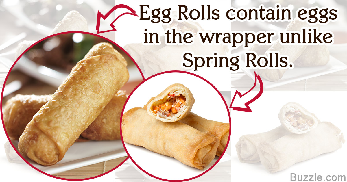 What's the difference between a spring roll and an egg roll?