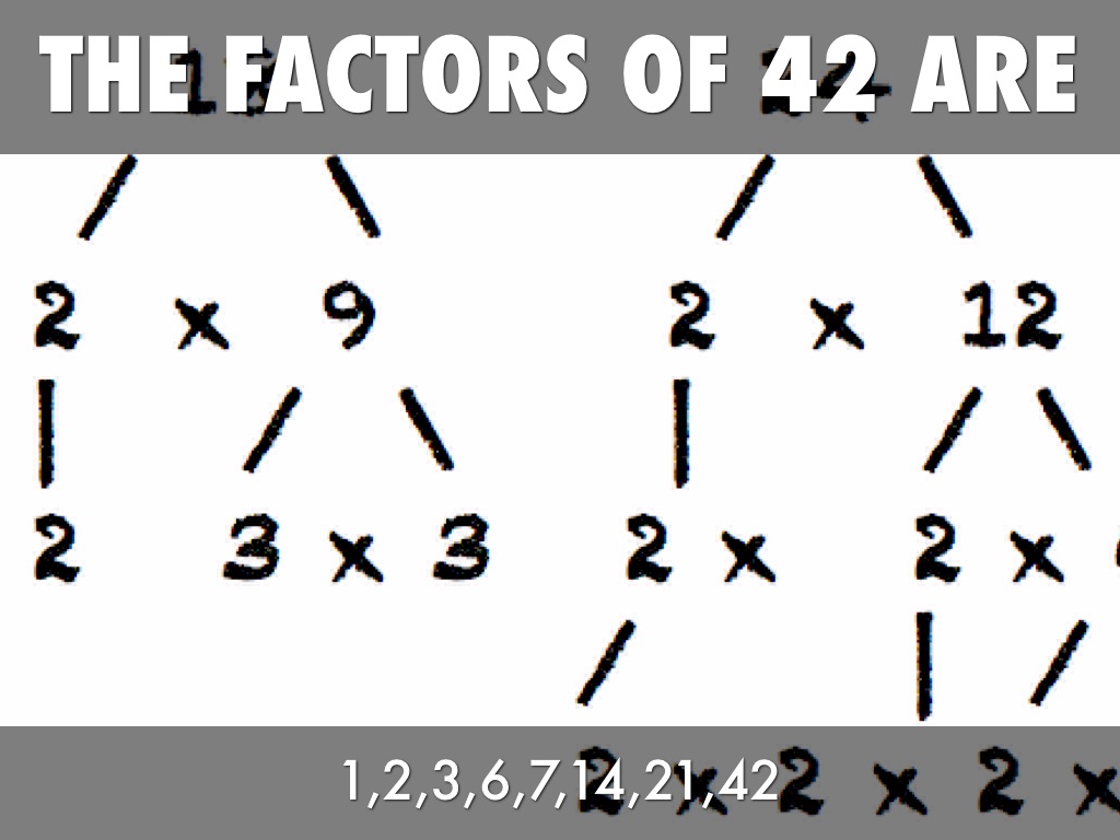 what-is-the-prime-factor-of-57