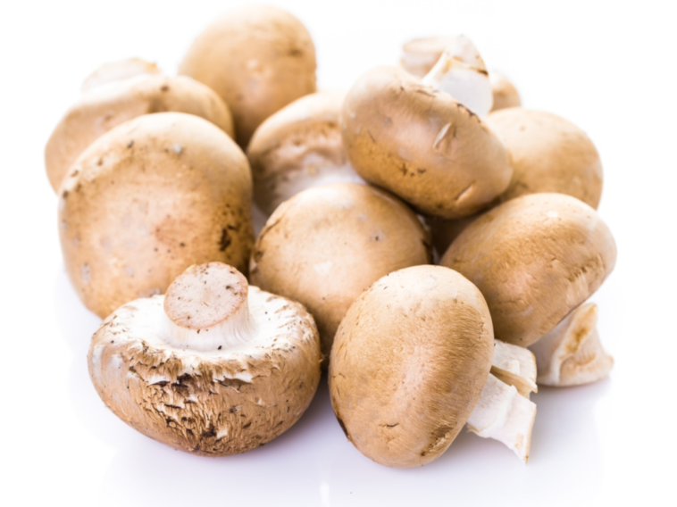 Are baby bella mushrooms poisonous?