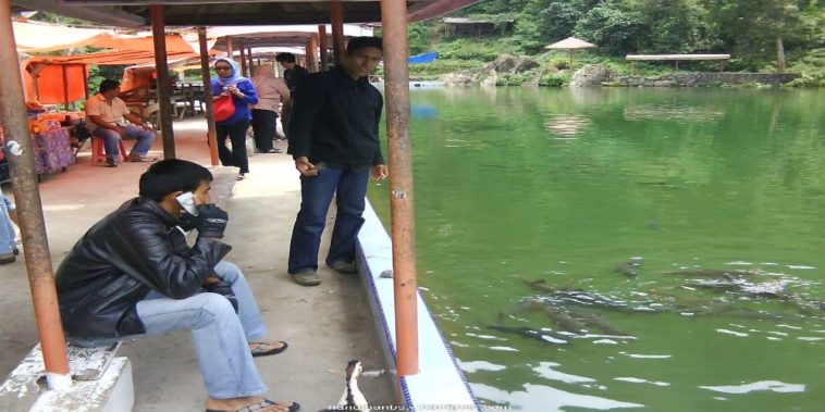 Apakah di Indonesia ada Halloween?