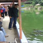 Apakah di Indonesia ada Halloween?