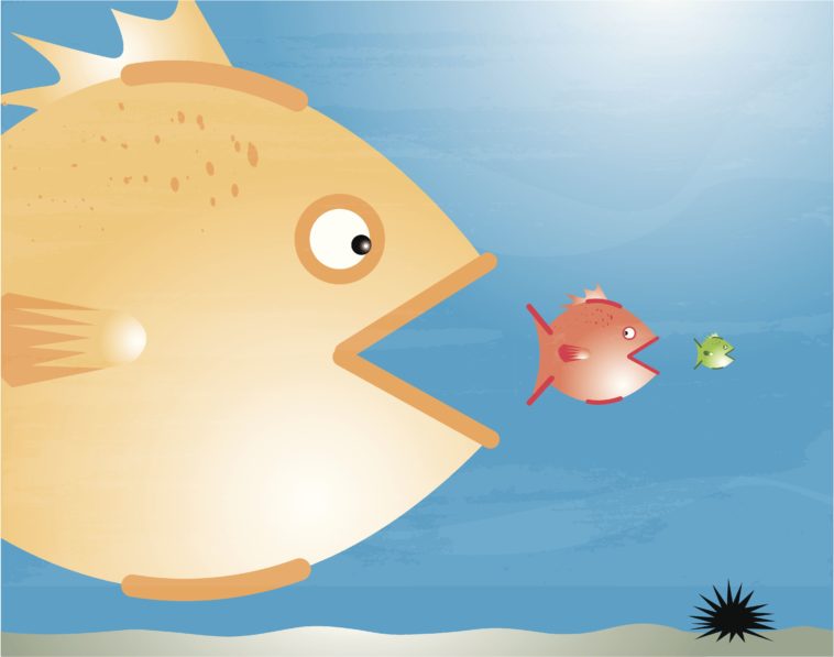 Are Big Macs smaller than they used to be?