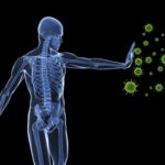 Are Cheez Its bad for your immune system?