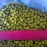Are Frozen peas already blanched?