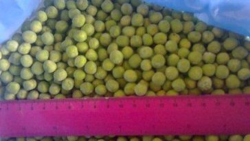 Are Frozen peas already blanched?