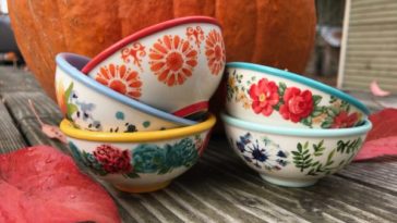 Are Pioneer Woman dishes safe?