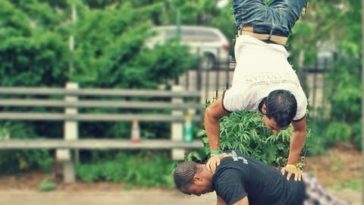 Are Push-Ups vegan?