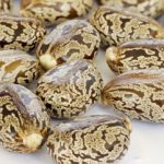 Are Unsoaked beans poisonous?