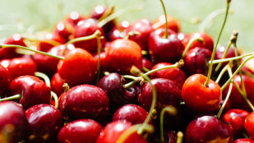 Are Washington state cherries good for you?