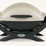 Are Weber Q worth the money?
