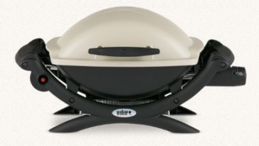 Are Weber Q worth the money?