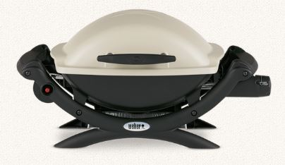 Are Weber Q worth the money?