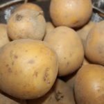 Are Yukon Gold potatoes good for stews?