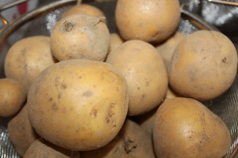 Are Yukon Gold potatoes good for stews?