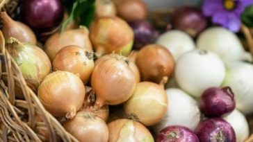 Are alliums healthy?