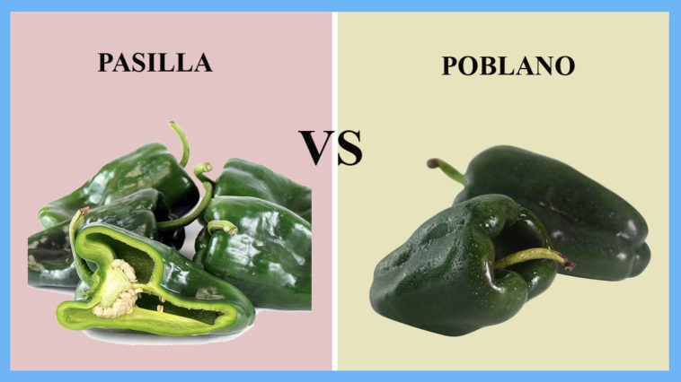 Are ancho and pasilla chiles the same?