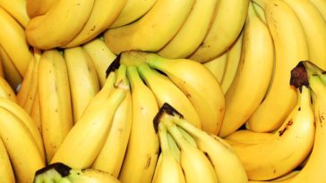 Are bananas keto?