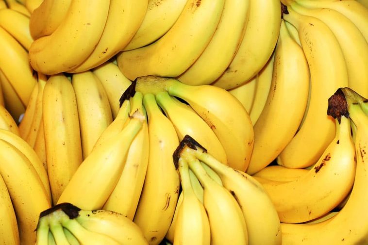 Are bananas keto?