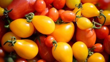 Are brown tomatoes less acidic?
