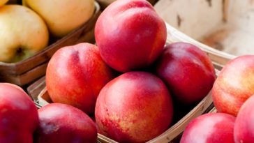 Are cherry plums good for you?