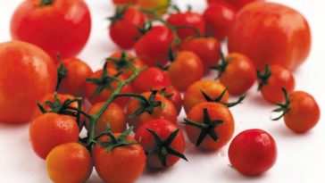 Are cherry tomatoes high in carbs?