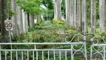 Are eggs still good if left out for 24 hours?