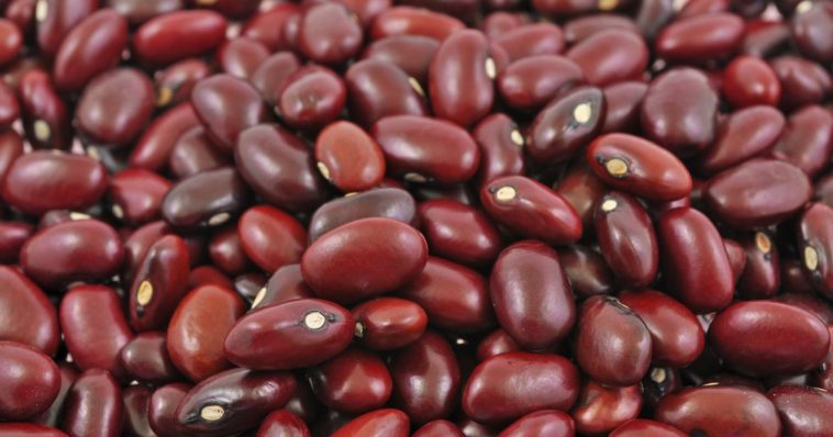 Are green beans good for weight loss?