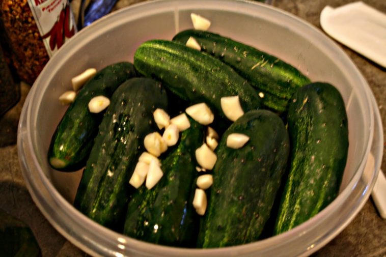 Are half sour pickles healthy?