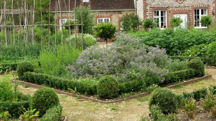 Are herb gardens worth it?