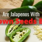Are jalapeno seeds bad for you?