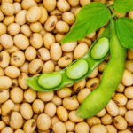 Are kidney beans better for you than pinto beans?