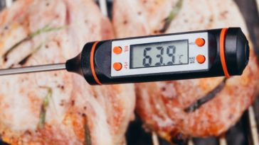 Are meat thermometers worth it?