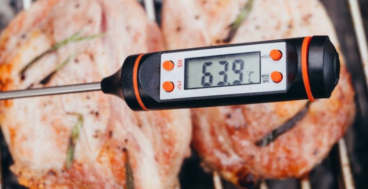 Are meat thermometers worth it?