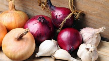 Are onions and garlic antiviral?