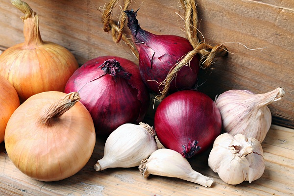 Are onions and garlic antiviral?
