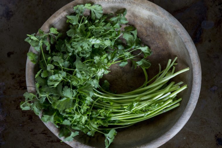 Are parsley stems poisonous?