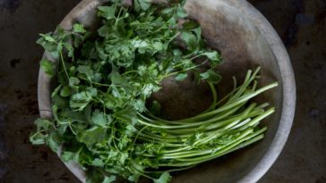 Are parsley stems poisonous?