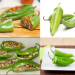 Are pasilla chiles and poblano chiles the same?
