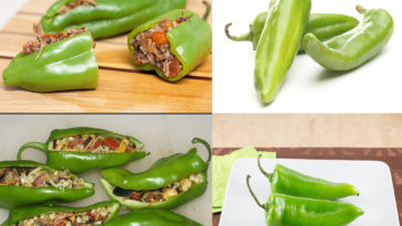 Are pasilla chiles and poblano chiles the same?
