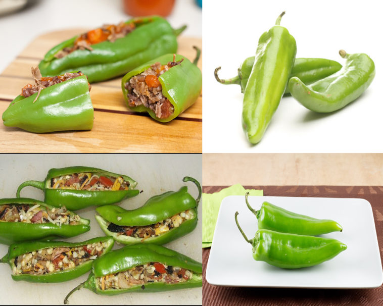 Are pasilla chiles and poblano chiles the same?