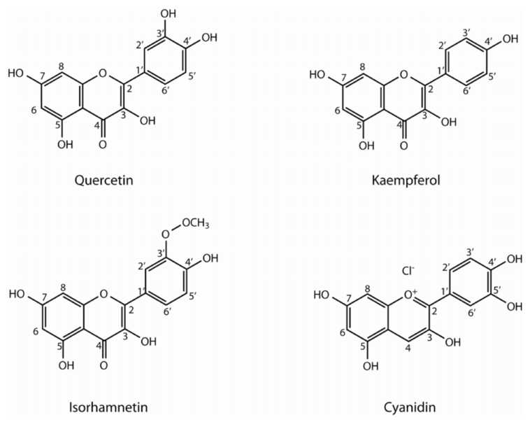 Are phenolic compounds bad for you?