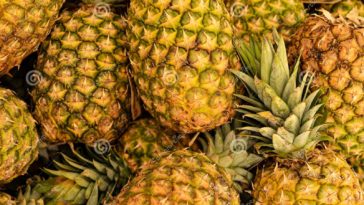 Are pineapples a hybrid fruit?