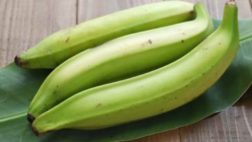 Are plantains healthy?