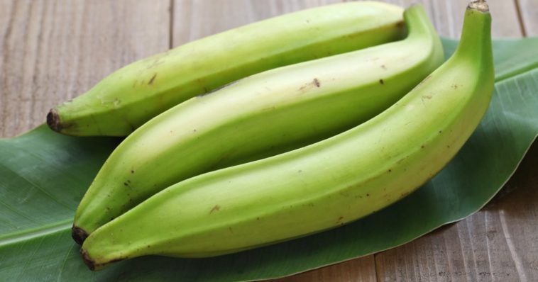 Are plantains healthy?