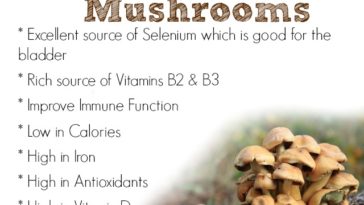 Are portabella mushrooms good for high blood pressure?