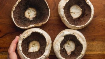 Are portobello mushrooms psychedelic?