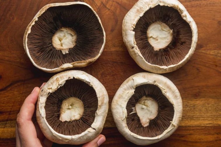 Are portobello mushrooms psychedelic?