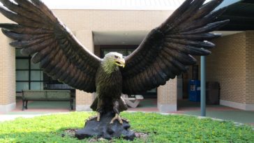 Are there giant eagles in Florida?
