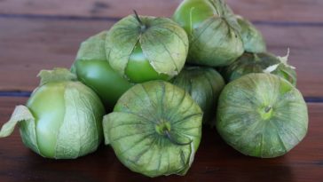 Are unripe tomatillos poisonous?