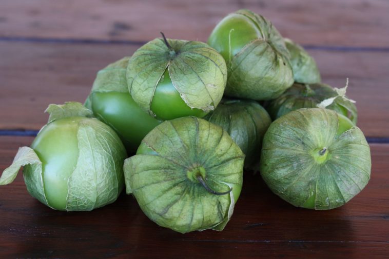 Are unripe tomatillos poisonous?